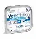 Vet Solution Gato Dermatosis X 100 Gr