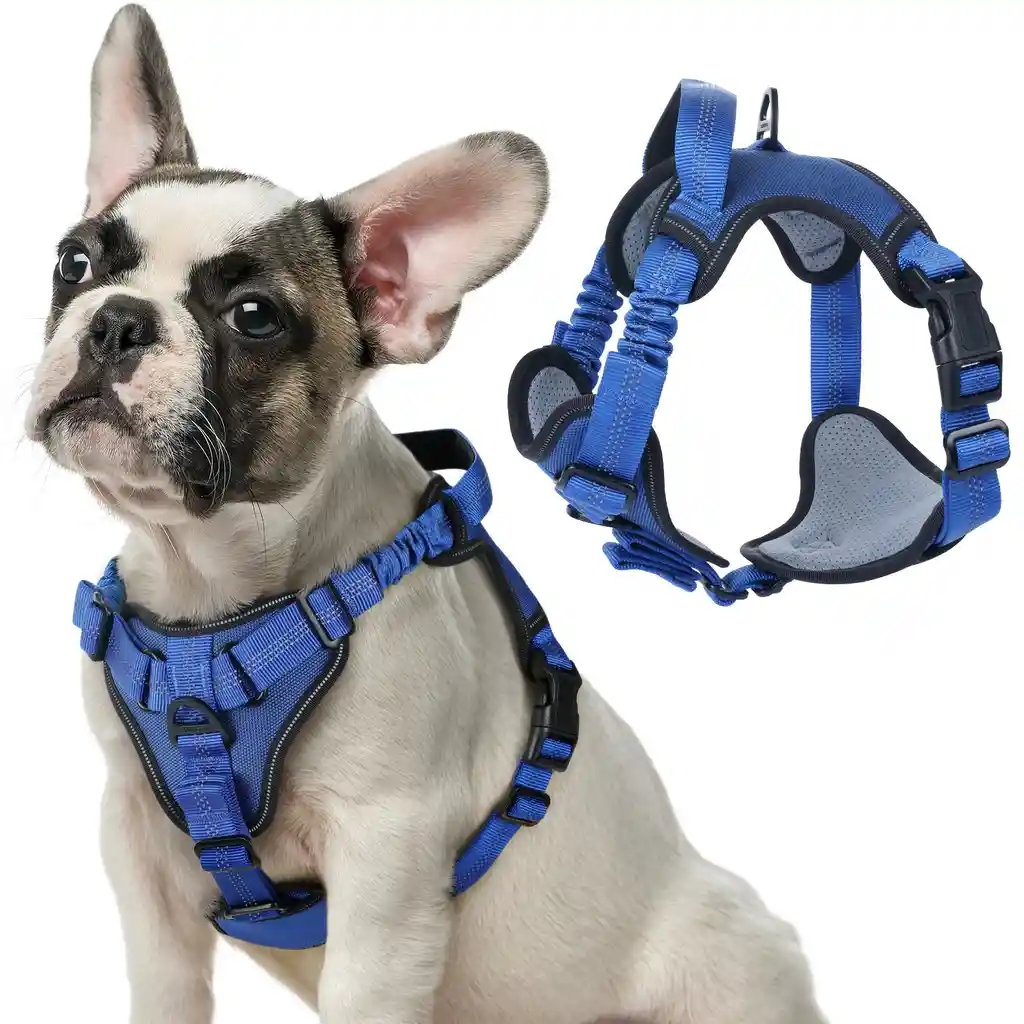 Pechera Con Absorción De Impacto Talla Xl