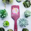 Cepillo Para Desenredar El Cabello, Modelo Cuadrado
