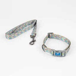 Collar + Correa Animal Planet Talla L