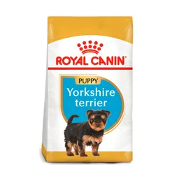 Royal C. Perro Yorkshire Puppy X 1.13kg