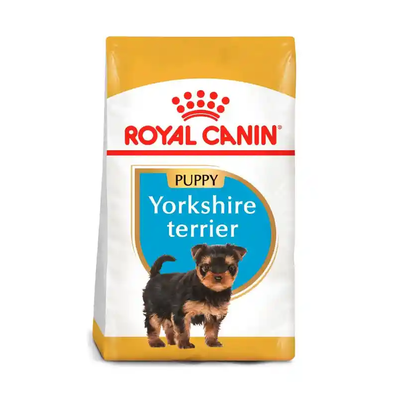 Royal C. Perro Yorkshire Puppy X 1.13kg