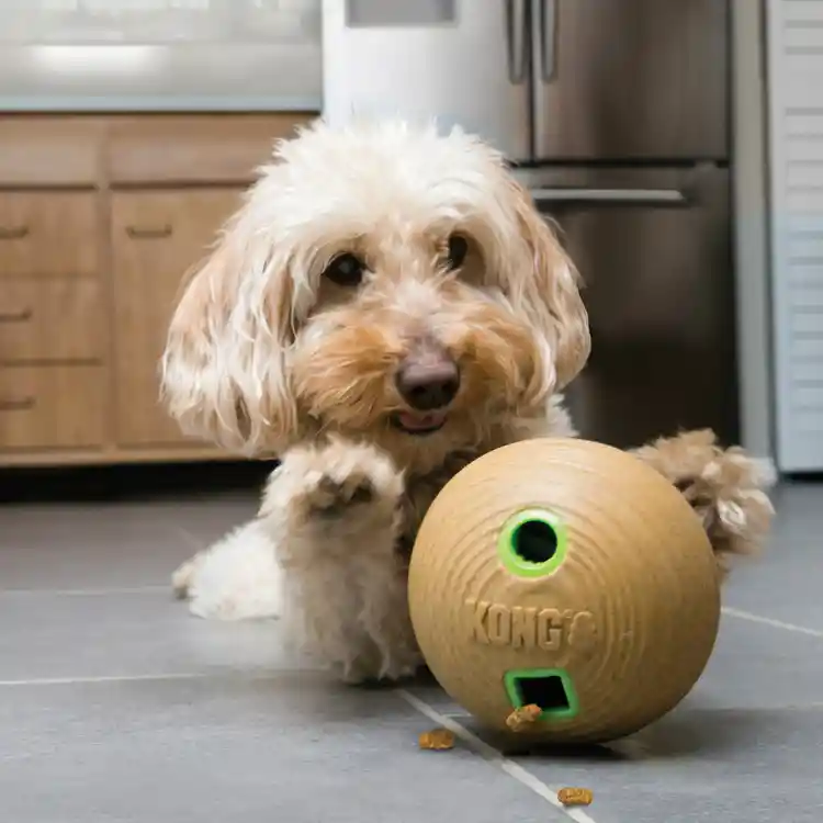 Kong Bamboo Feeder - Juguete Dispensador Pelota Talla M