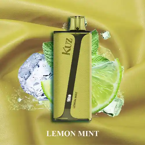 Kuz Vape Lemon Mint 9000 Puff