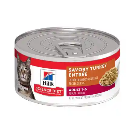 Hill's Feline Adulto Turkey Lata 5,5 Oz