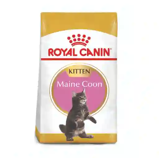 Royal Canin Gato Kitten Maine Coon 2kg