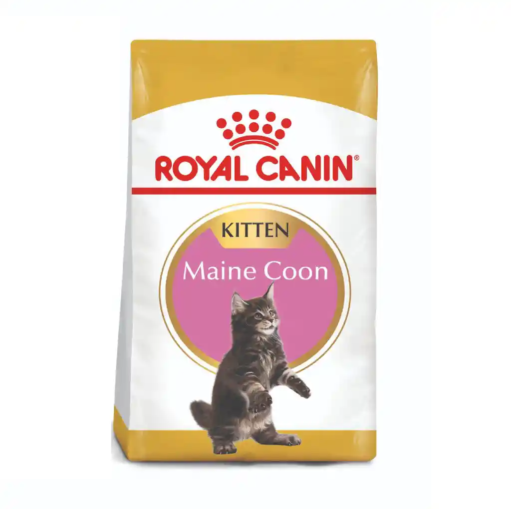 Royal Canin Alimento Para Gato Maine Coon Kitten X2kg