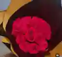 Buchon De 24 Rosas