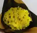 Ramo De Margaritas
