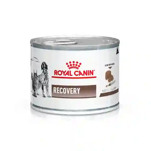 Royal Canin Lata Recovery 145gr