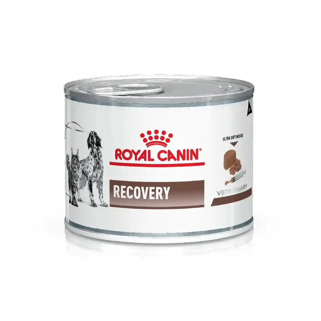 Royal Canin Lata Recovery 145gr