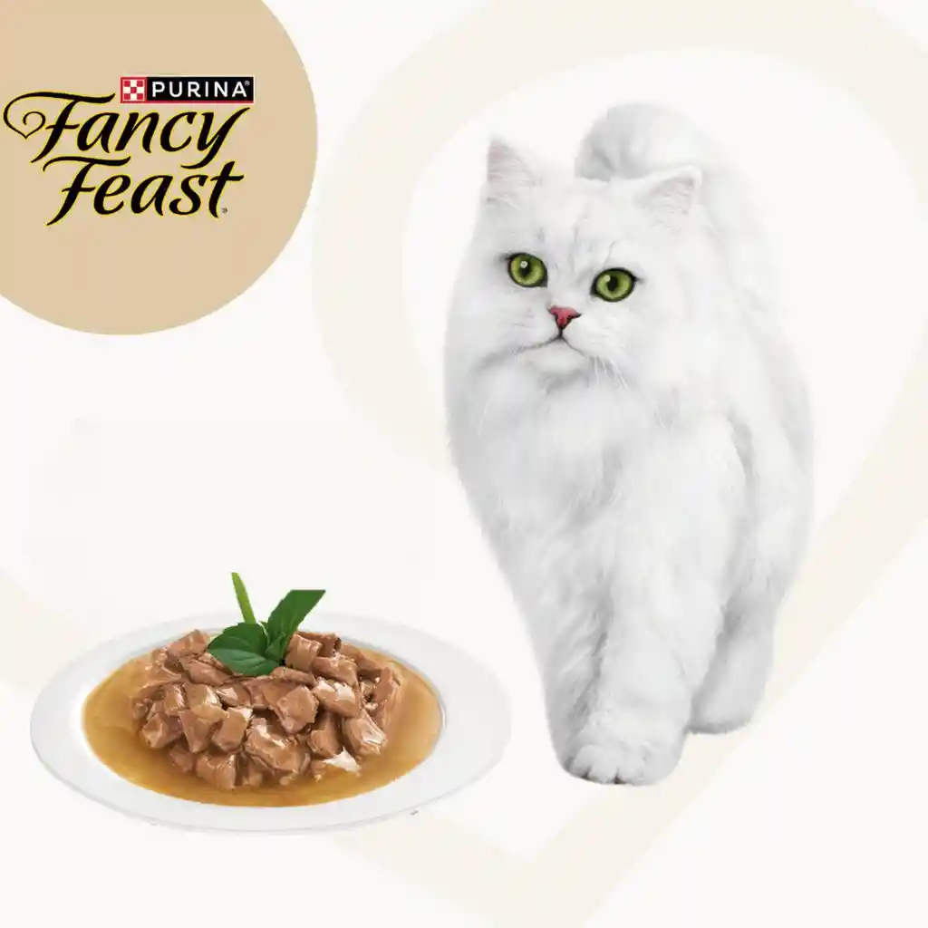 Alimento Húmedo Para Gato Fancy Feast Promo X 12 Uds Fancy Feast Fancy Feast 12 Uds