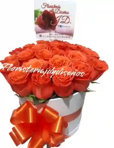 Flolres Que Expresan Energia