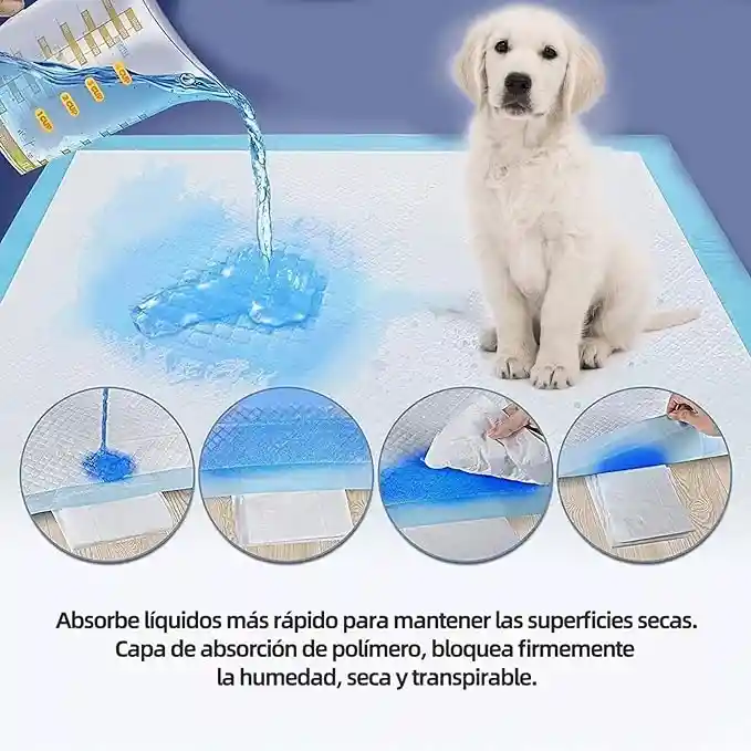 Tapete Absorbente Para Perros Tipo Petys 65 X 75 Cm Unidad Tapete Pañales Para Mascotas Pañales Para Perros