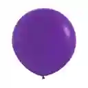 Globos Violeta Fashion R18 X 6 Unidades Sempertex