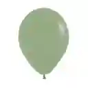 Globos Eucalipto Fashion R5 X 50 Unidades Sempertex