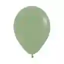 Globos Eucalipto Fashion R5 X 50 Unidades Sempertex