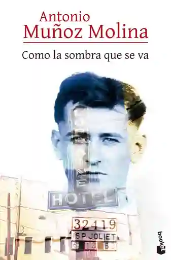 Como La Sombra Que Se Va