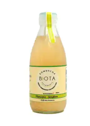 Kombucha Manzana Y Jengibre X280ml Biota