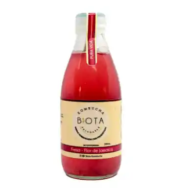 Kombucha Fresa Flor De Jamaica X280ml B