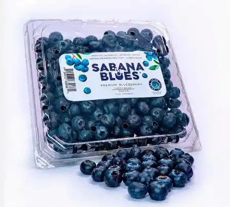 Arandanos Premium X500gr Berries