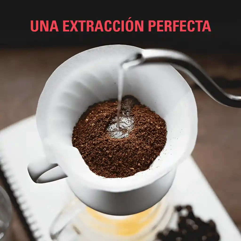 Filtros Dripper V60 Hario Original (100 Unidades) - Tamaño 2