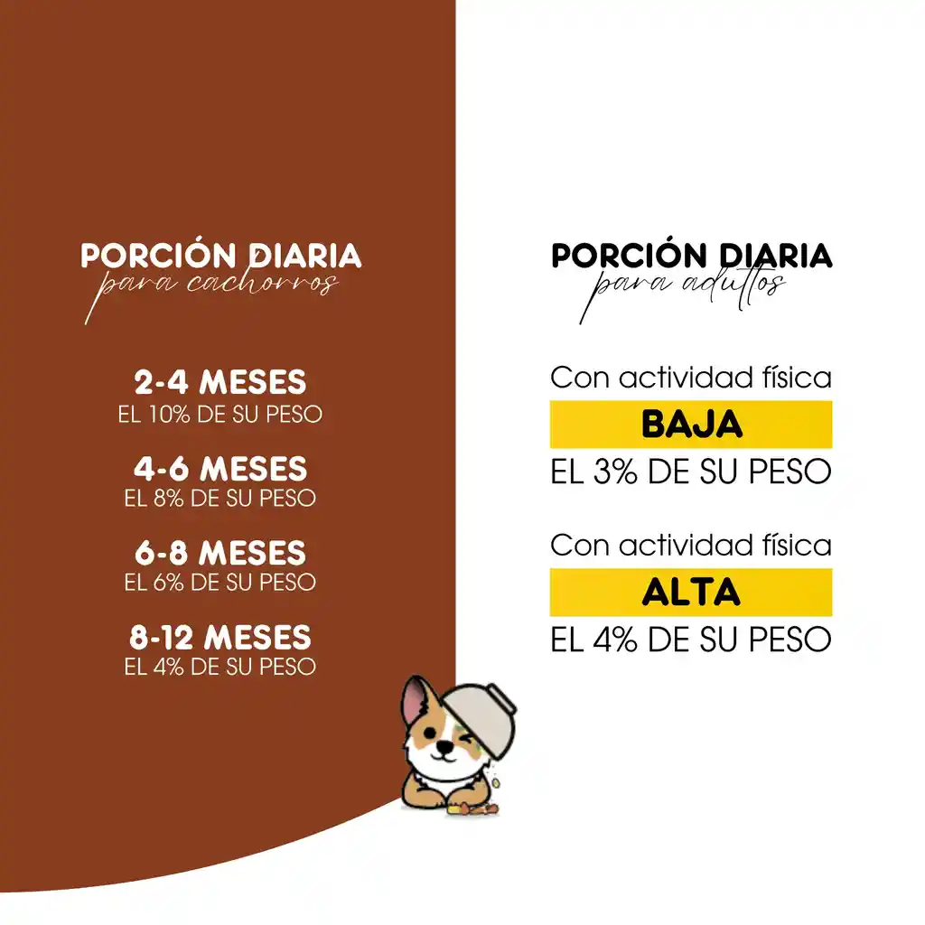 Dieta Barf De Res 🥩 400g Para Perro - Mimarlo Barf