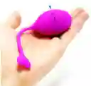 Vibrador App, Diseño Fruta Uva, Vibrador Larga Distancia, Vibrador Aplicacion