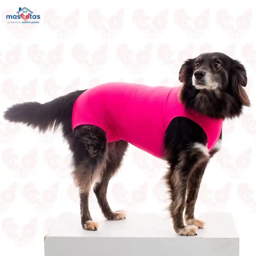 Faja Post-quirurgica Para Perros Basic Dry Light- Rosa Talla 04