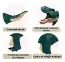 Dinosaurios Zazaza T Rex Con Luces Y Sonido Tiktok Moda Zaza Color Verde