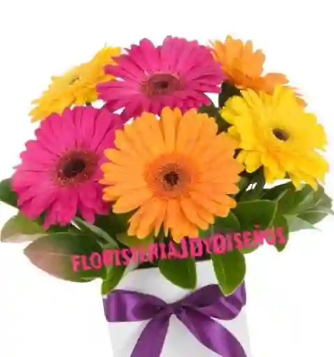 Detalle Floral En Gerveras