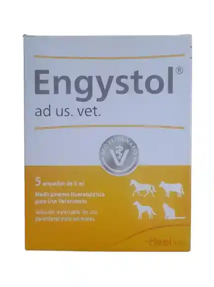 Engystol Ampolleta De 5 Ml