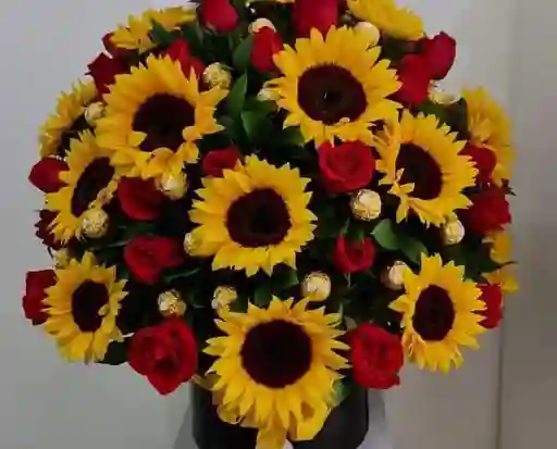 Girasoles Ferreros Y Rosas