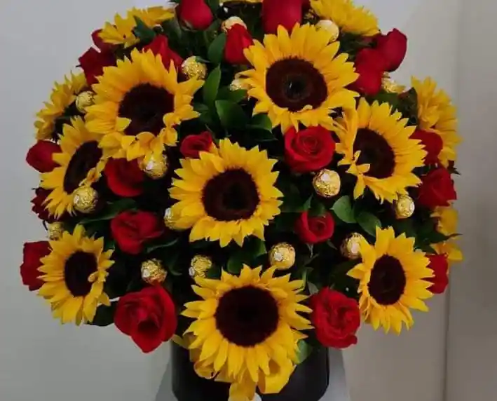 Girasoles Ferreros Y Rosas