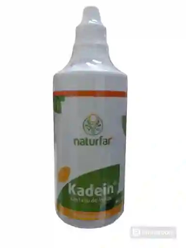 Kadein Castaño De Indias Extracto X 60 Ml Naturfar