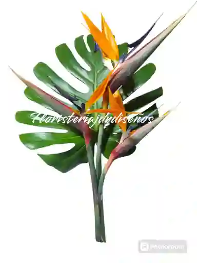 Ramillete Exotico