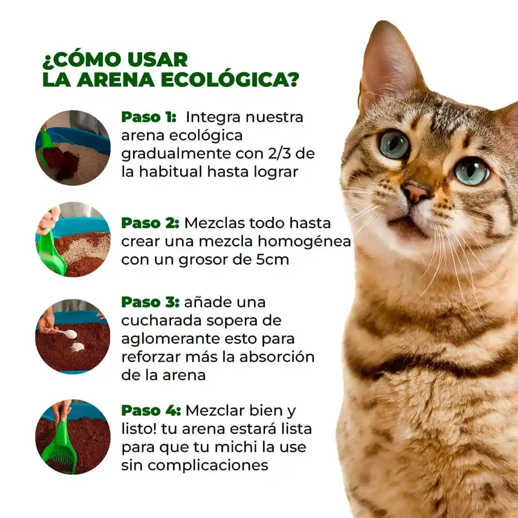 Areana Ecologica De Coco