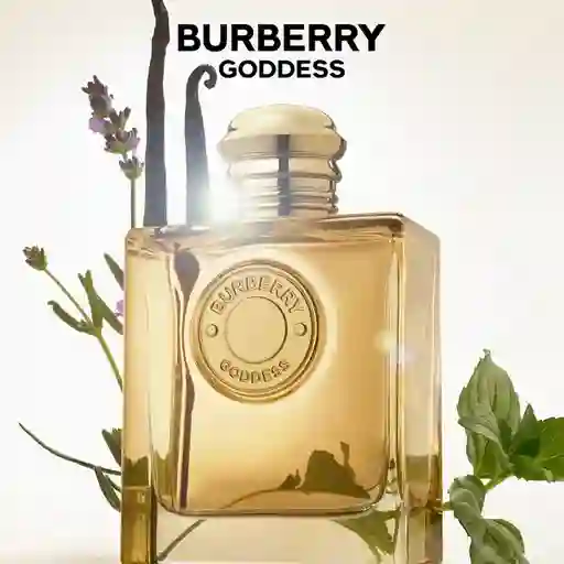 Percfume Mujer Burberry Goddess Eau De Parfum Intense 100ml