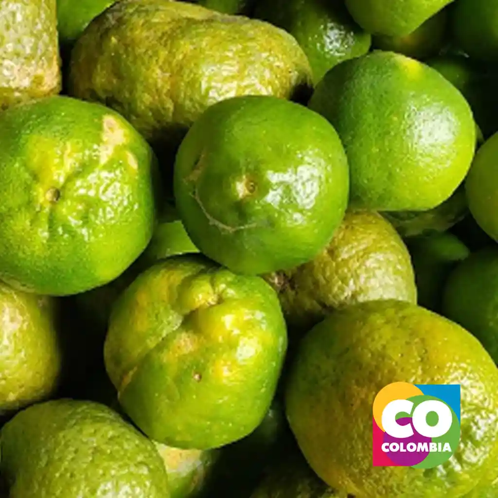 Mandariana Oneco 500 Gramos