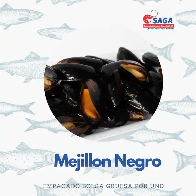 Mejillon Negro