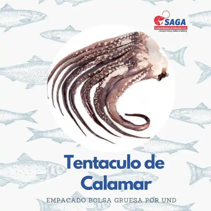 Tentaculo De Calamar