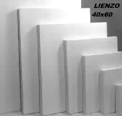 Lienzo Universal 40x60 Cm