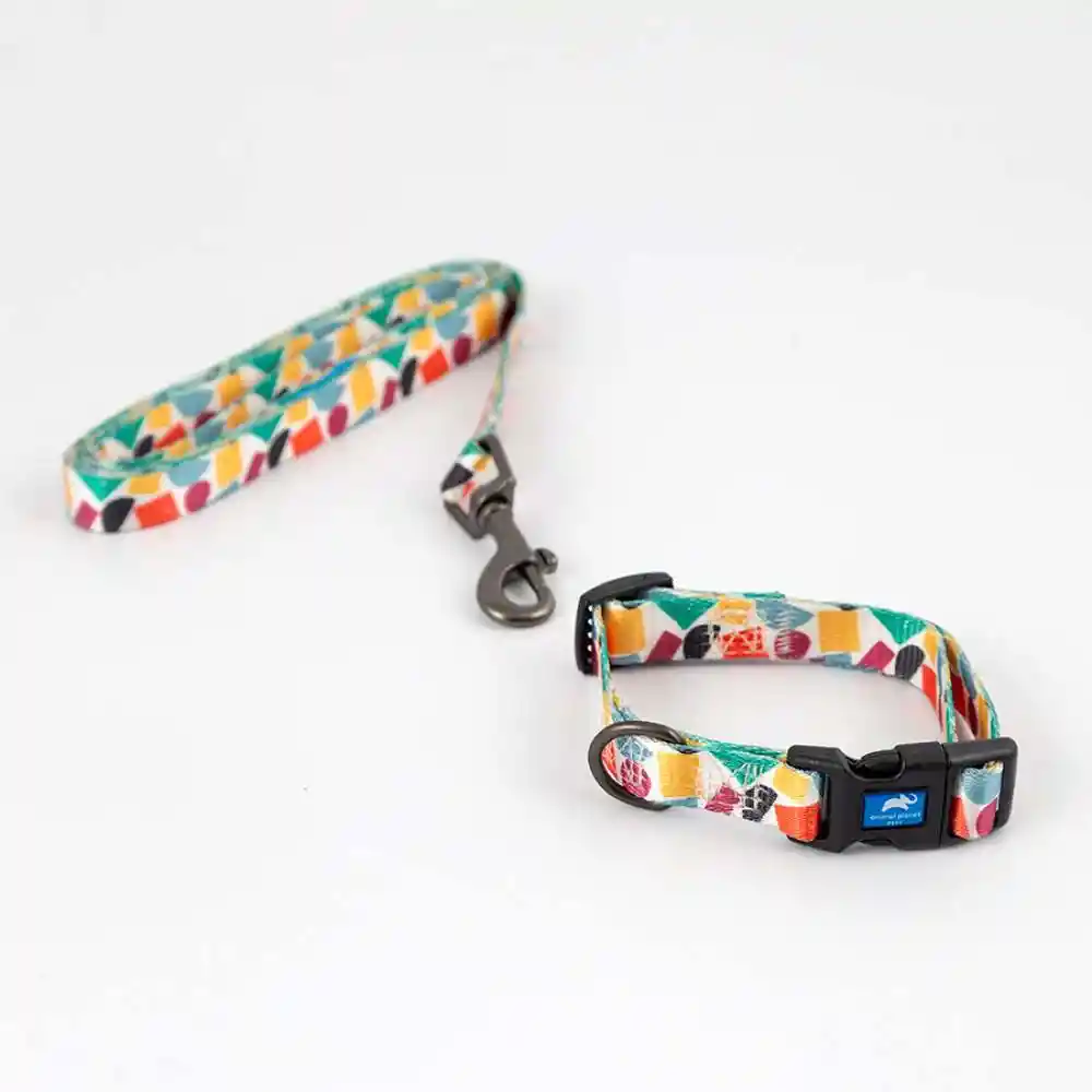 Collar + Correa Animal Planet Surtido Talla M