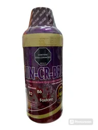 Vinucerebral Jbe Litro Sin Alcancia Natural Plast