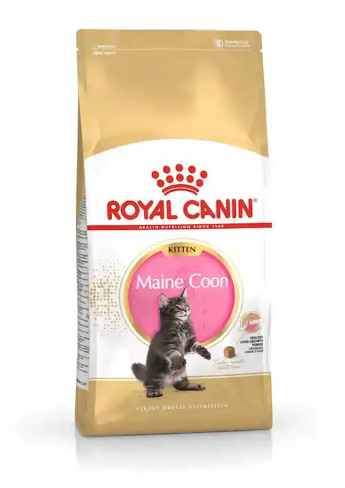 Royal Canin Maine Coon Kitten X 2 Kilos