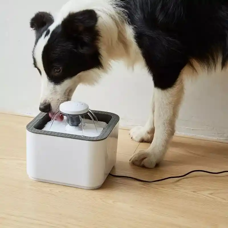 Bebedero Eléctrico Perro Gato Fuente Agua Mascota Dispensado