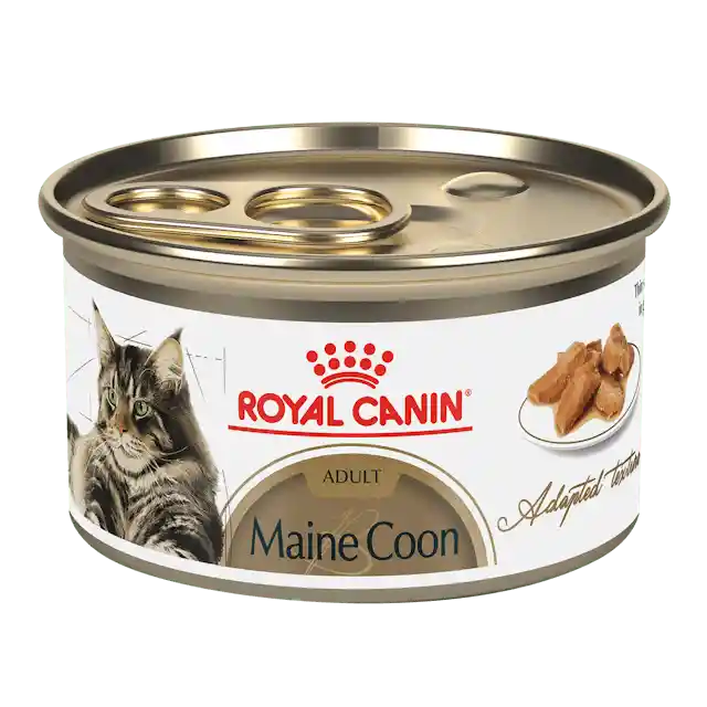 Royal Canin Maine Coon Wet X 85 Gr.