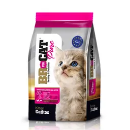 Br For Cats Alimento Para Gatitos 1 Kg