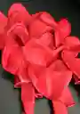 Bombas / Globos R-12 Sempertex Corazon Rojo Liso X12