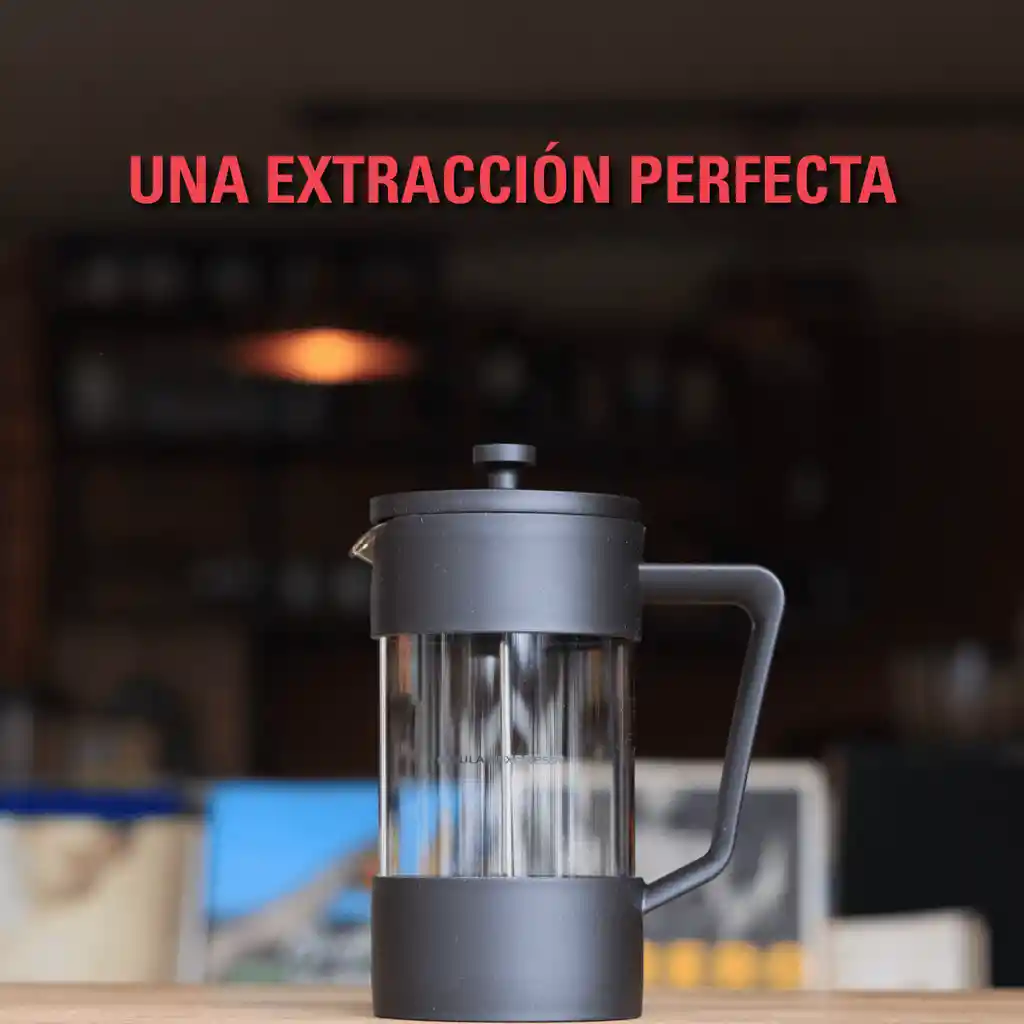 Prensa Francesa Primula Express (3 Tazas - 350ml)